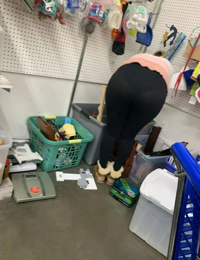 MichelleM_Wild Greenville MichelleM_Wild